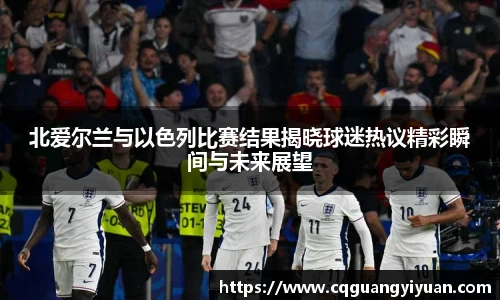 北爱尔兰与以色列比赛结果揭晓球迷热议精彩瞬间与未来展望
